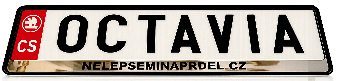 License plate frame example on a car